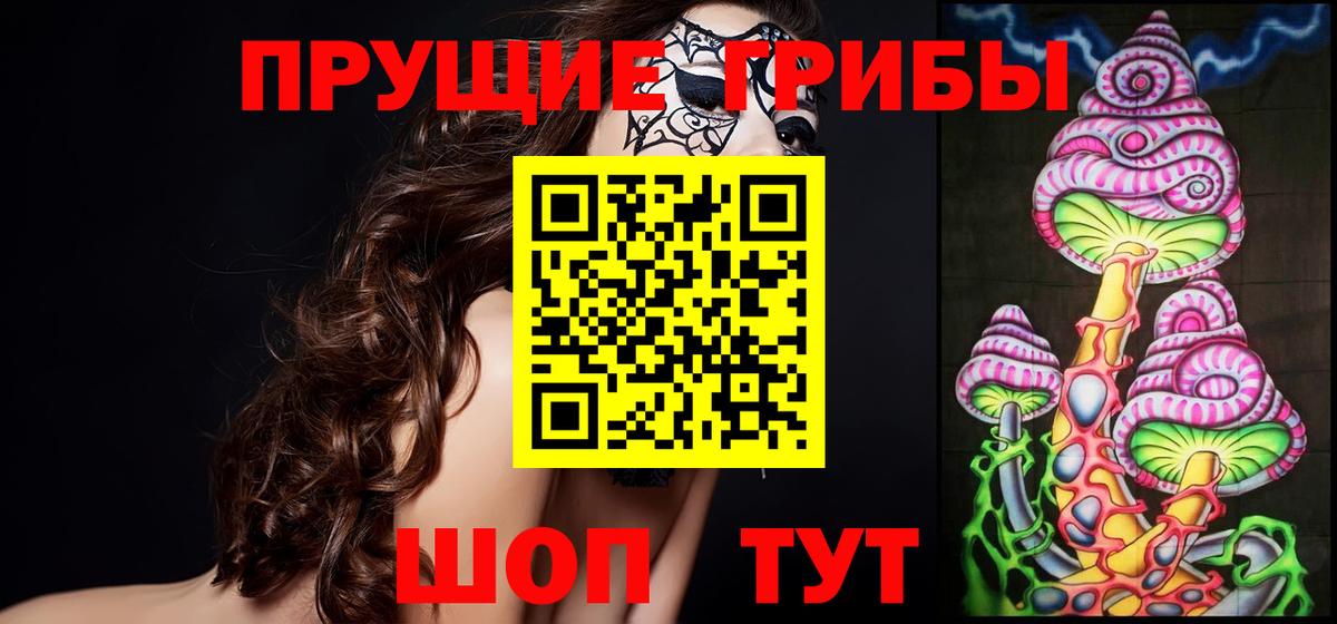 Галлюциногенные грибы Psilocybine cubensis  Вход с VPN  Сафоново 